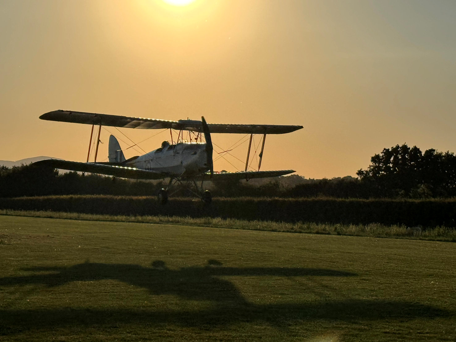 Tiger Moth Tiger Moth